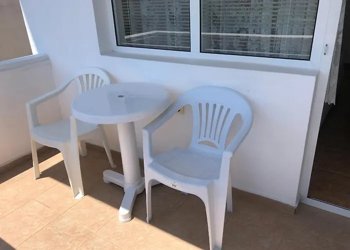 Borko 2* 普里莫尔斯科