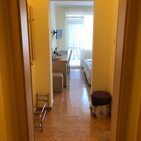 Guest house Borko 2*