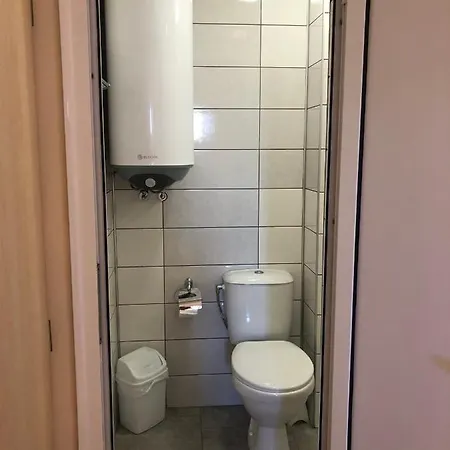 Guest house Borko 2*