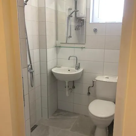 Guest house Borko 2*