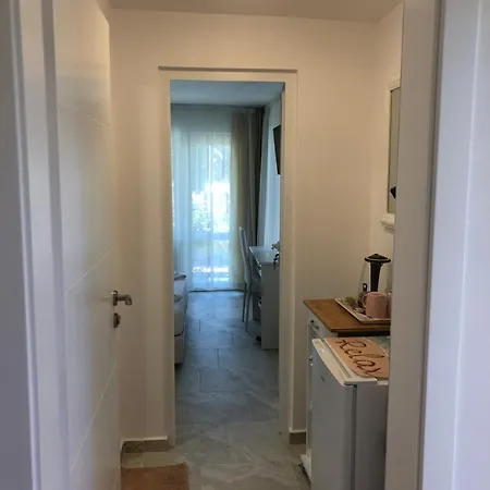 Borko Guest house