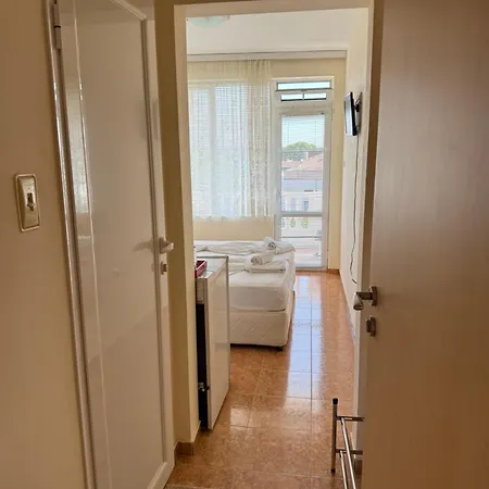 Borko Pensionat 2*