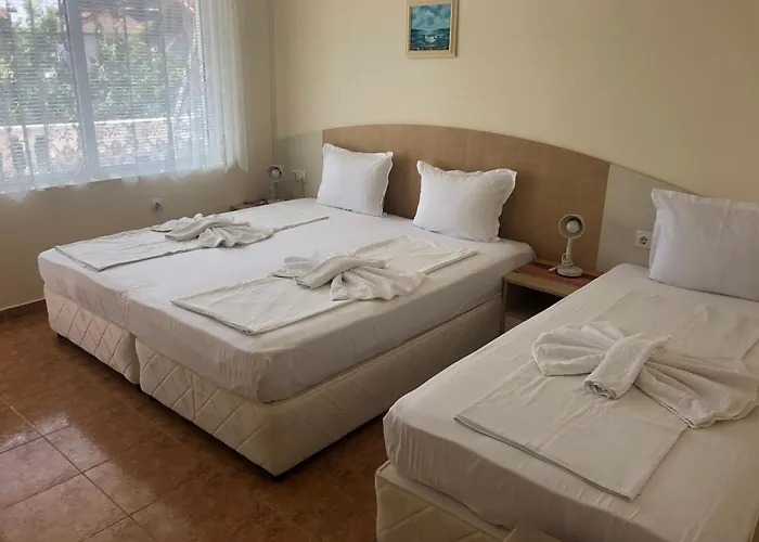 Borko Πριμόρσκο