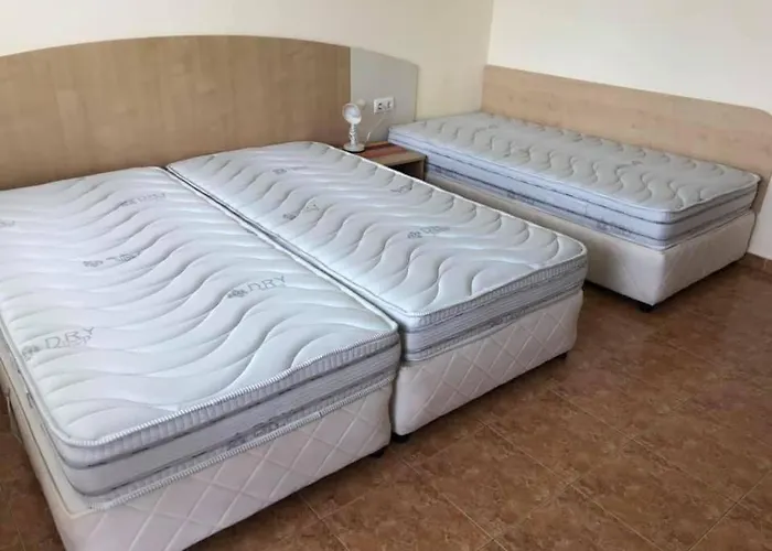 Πανσιόν Borko Πριμόρσκο