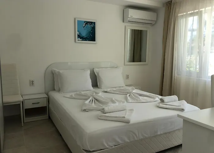 Borko Πριμόρσκο